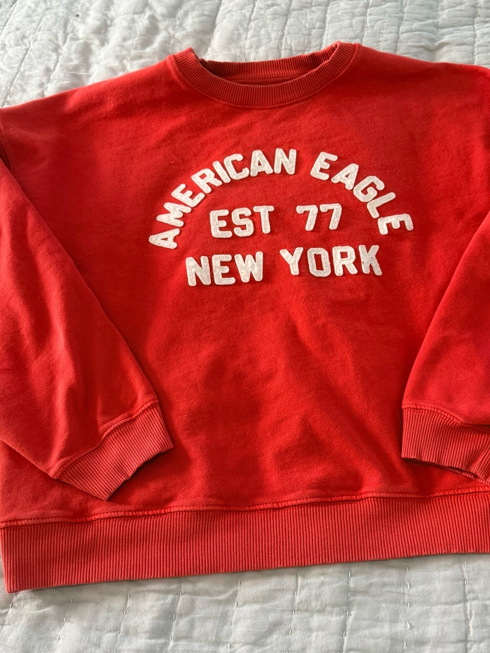 American Eagle Outfitters Red Crewneck with White Raised Lettering